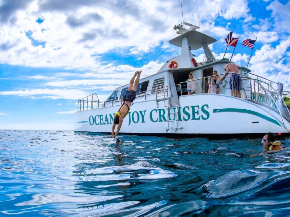 Zipline Adventure, Snorkel Cruise & Buffet with Round-trip Waikiki Shuttle