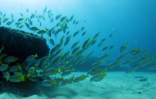 Malama Tours2