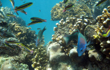 High Tide Los Cabos13