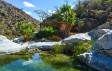 High Tide Los Cabos9