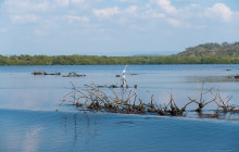 Paraíso Huatulco DMC7