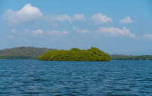 Paraíso Huatulco DMC16