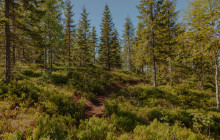 When in Norway7