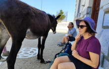 Dream Blue Amorgos8