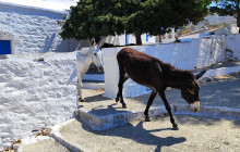 Dream Blue Amorgos10