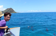 Ocean Joy Cruises19