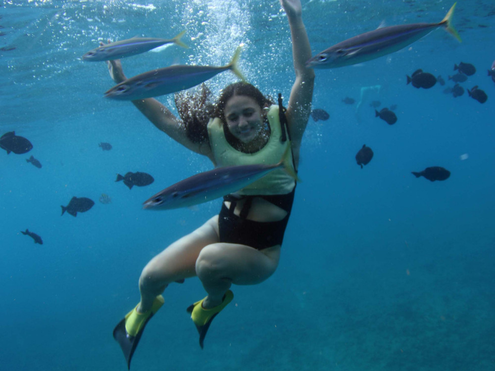 Ocean Joy Cruises