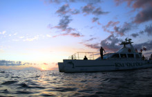 Ocean Joy Cruises17