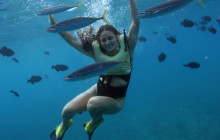 Ocean Joy Cruises19