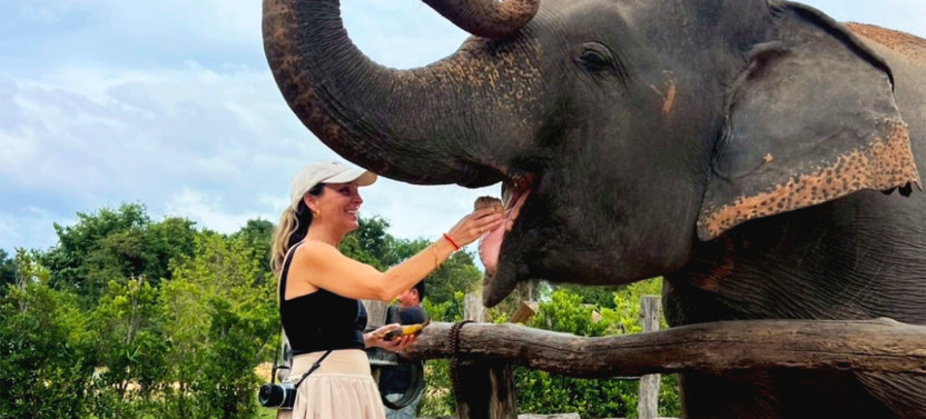 Cambodia Elephant Half-Day Experience from Siem Reap