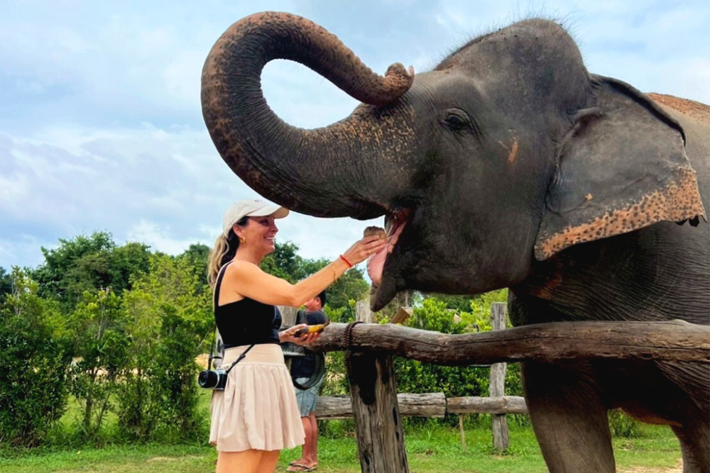 Cambodia Elephant Half-Day Experience from Siem Reap