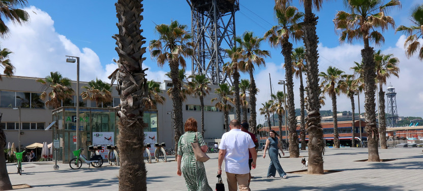 Private Barceloneta & Montjuic Tour with Cable Car & Paella, photo 4 of 20