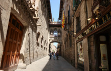 Gofora LLC5