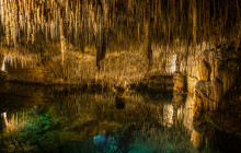 No Frills Excursions14