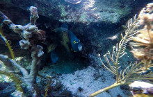 Cancun Vacation Experts2