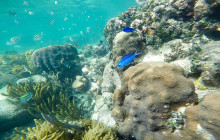 Cancun Vacation Experts7