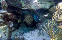 Cancun Vacation Experts8