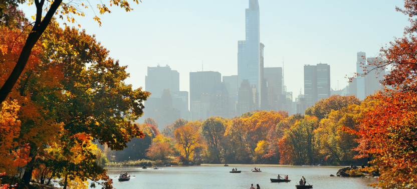 New York City Tour: The Greatest Hits Audio Tour
