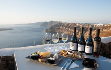 Wineland Tours11