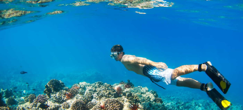 4 Hour Snorkel Excursion