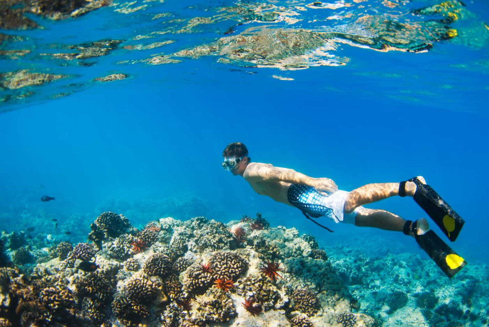 4 Hour Snorkel Excursion