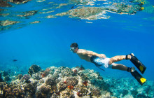 Snorkel Big Island1