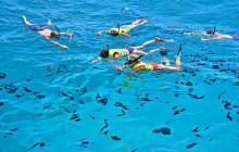 Snorkel Big Island5