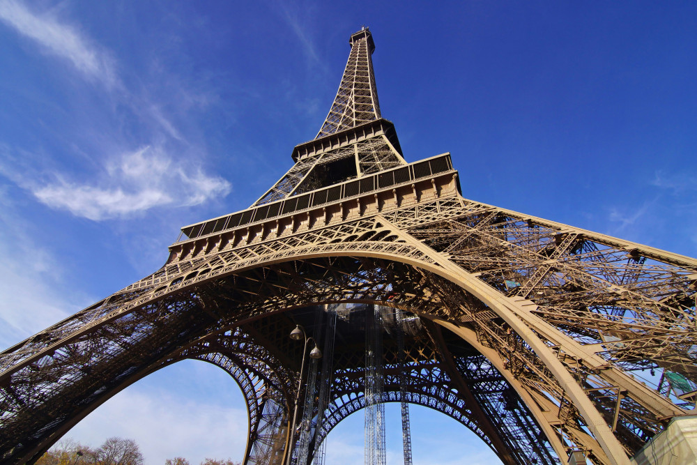 Eiffel Tower Access and Palace of Versailles Tour