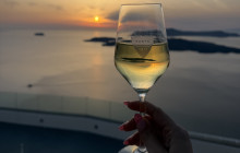 Wineland Tours11