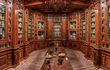 Paris Fun Tours4
