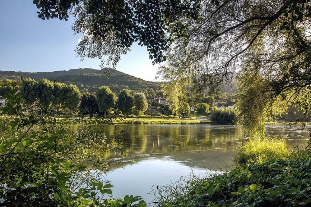 Loire Valley Day Trip from Paris with Small Group