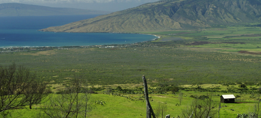 Maui Seasonal Landscapes & Highlights Tour