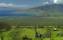 Hana Tours of Maui2