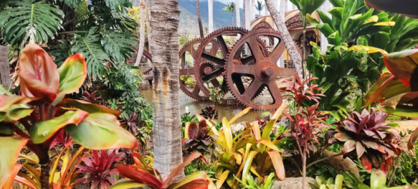 Maui Seasonal Landscapes & Highlights Tour