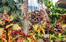 Hana Tours of Maui3