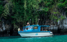 Simba Sea Trips Co. Ltd13