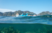 Simba Sea Trips Co. Ltd14