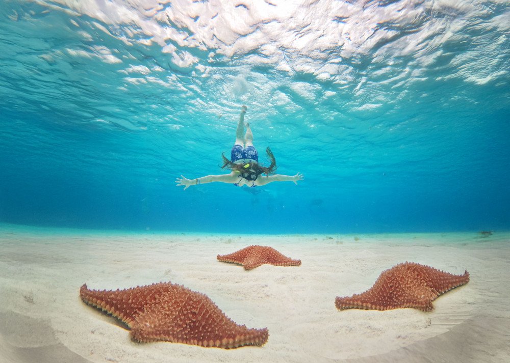 Cozumel: El Cielo Snorkel, KUZÁ Beach Day Pass, Buffet & Open Bar