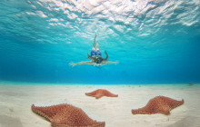 GLOBAL CRUISES MX1