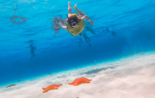 GLOBAL CRUISES MX14