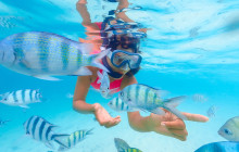 GLOBAL CRUISES MX15