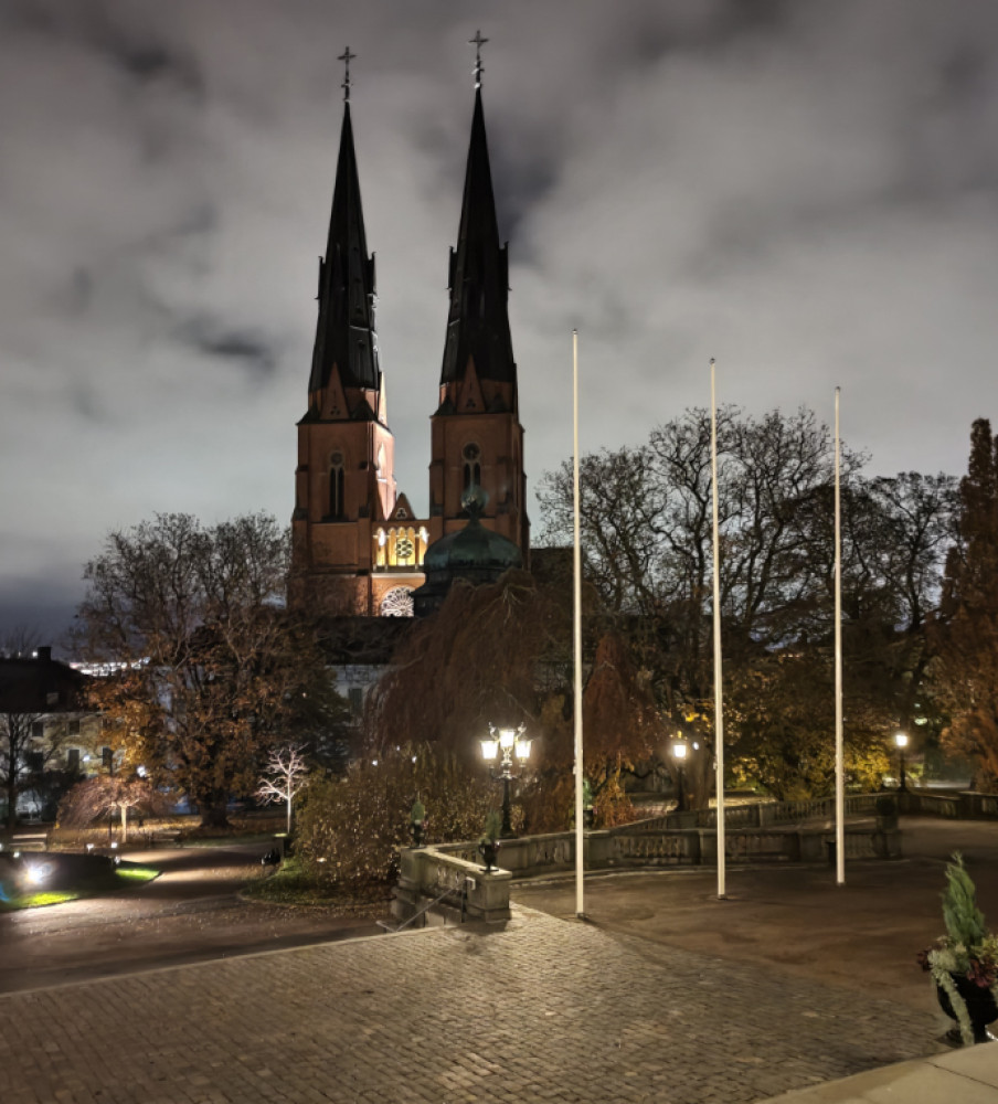 Transfer to Sigtuna & Uppsala Full Day Tour 8h from Stockholm - Small Group