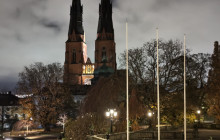 Boston Sightseeing Tours, LLC1