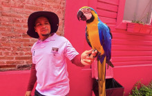 Edwin Transfers Tours12
