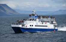 Reykjavik Sailors ehf4
