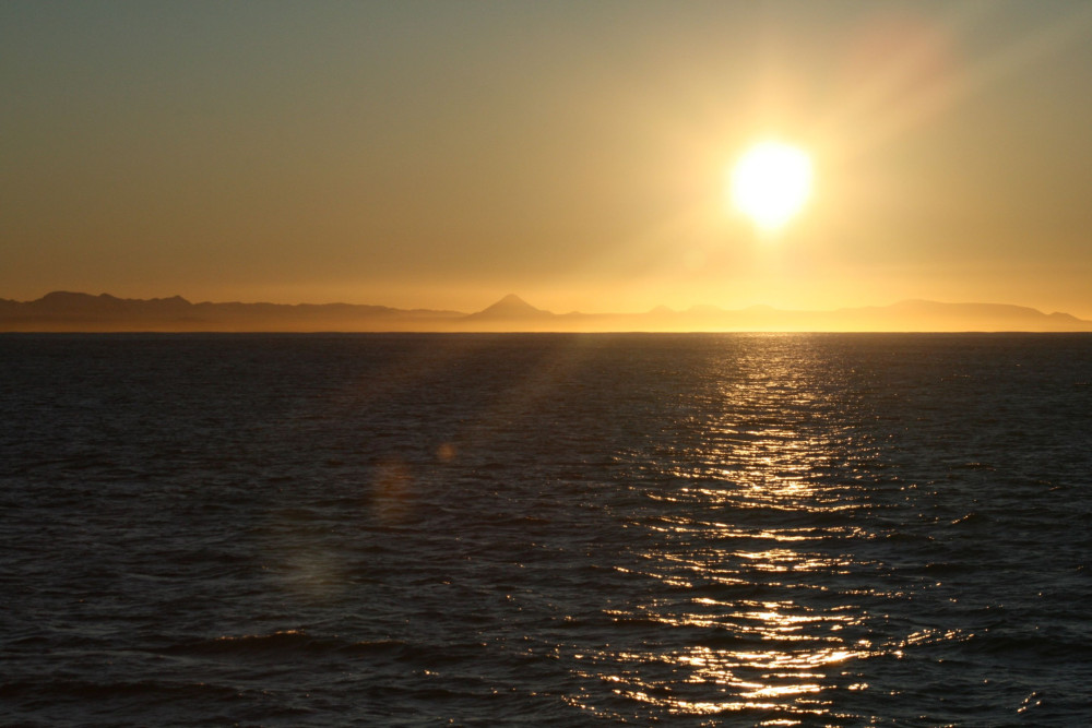 Whale Watching Cruise in the Arctic Sun - 9 PM
