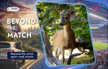 Action Tour Guide14