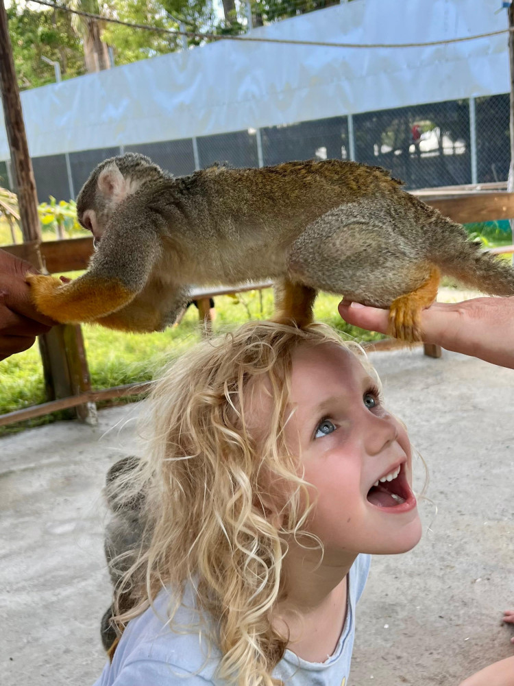Damajagua Waterfalls and Monkeys: Private Van Tour