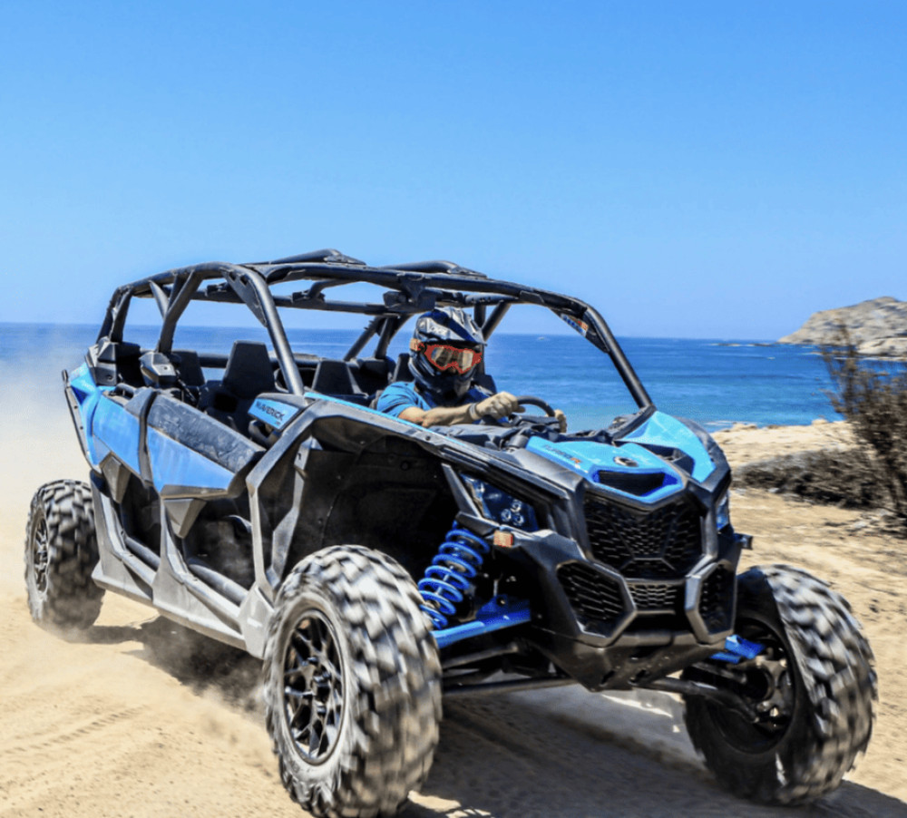 Wild Canyon Adventures