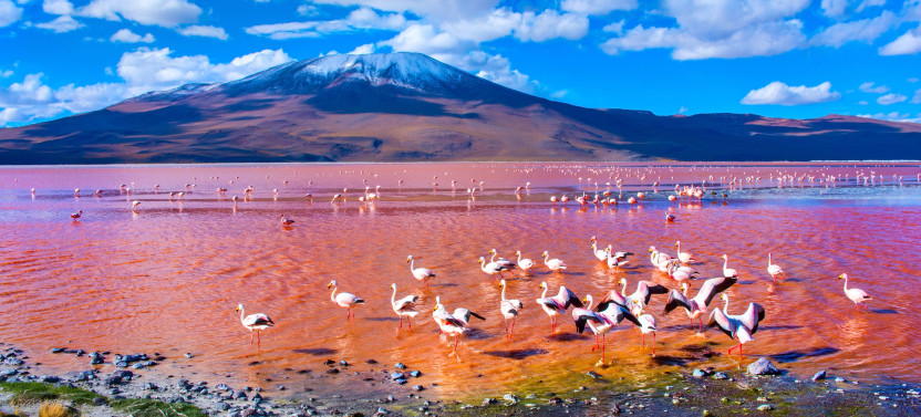 14 Days - Bolivia: History, Culture, & Unforgettable Landscapes